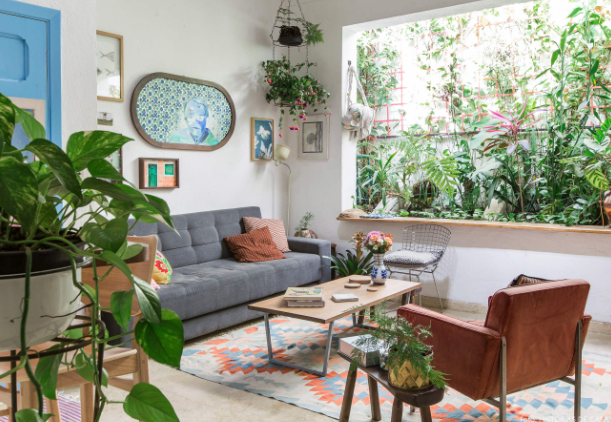 Decora tu sala de estar con plantas